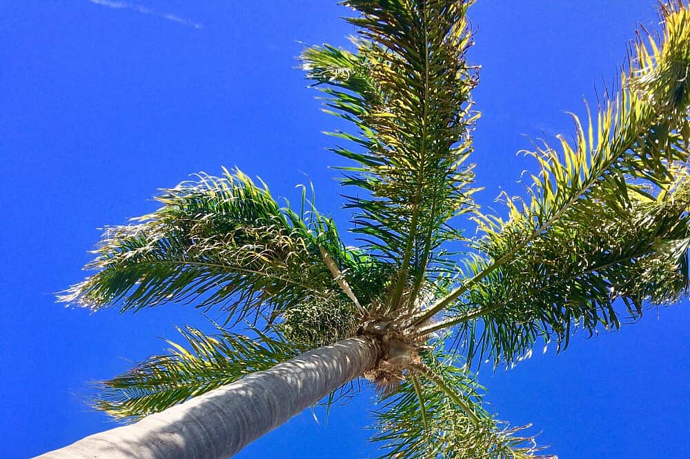 5 Day Private Yoga & Hike 'Love & Fire' Retreat in Portugal 6