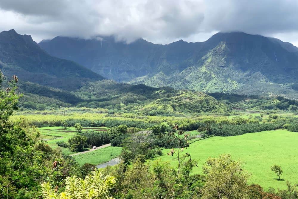 5 Day Yoga, Meditation, Hiking Retreat in Hawaii 3