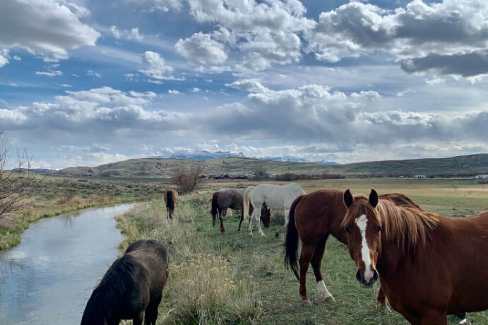 4 Day Meditation outside Yellowstone Retreat in Wyoming, USA 7