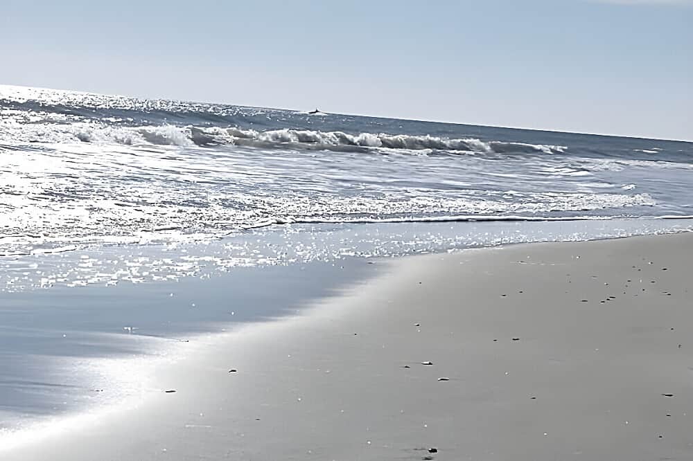 4 Day All Inclusive Yoga & Beach Retreat in N. Myrtle Beach, USA 2