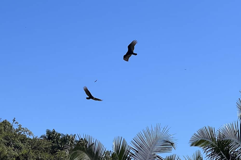 7 Day Las Brisas Zen Center 'Feel Your Flow Retreat" in Mexico 7