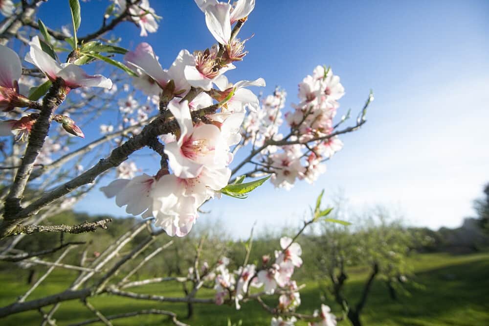 5 Day Pure Reconnection - Holistic Body Mind Recharge in Mallorca 5