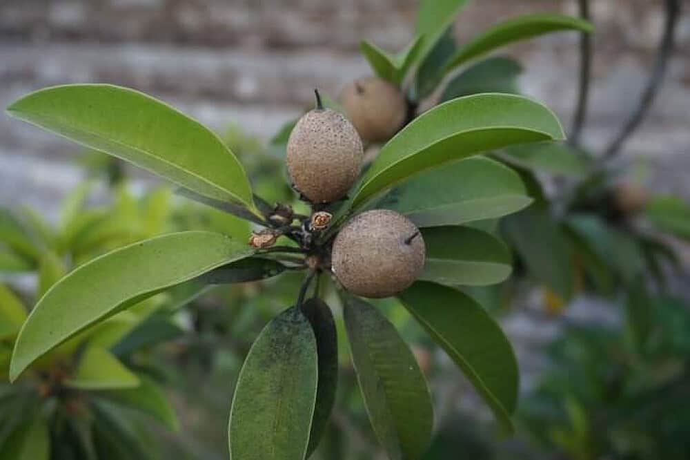 7 Day Spiritual Wellness and Yoga Retreat, in South India 8