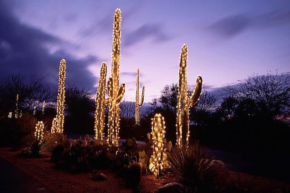 3 Day Not Home For The Holidays Women's Retreat, Joshua Tree, CA 8