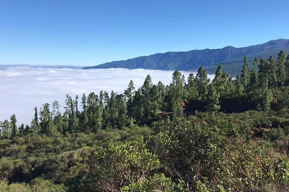 5 Day Active Training & Wellness Break, Northern Tenerife, Spain 7