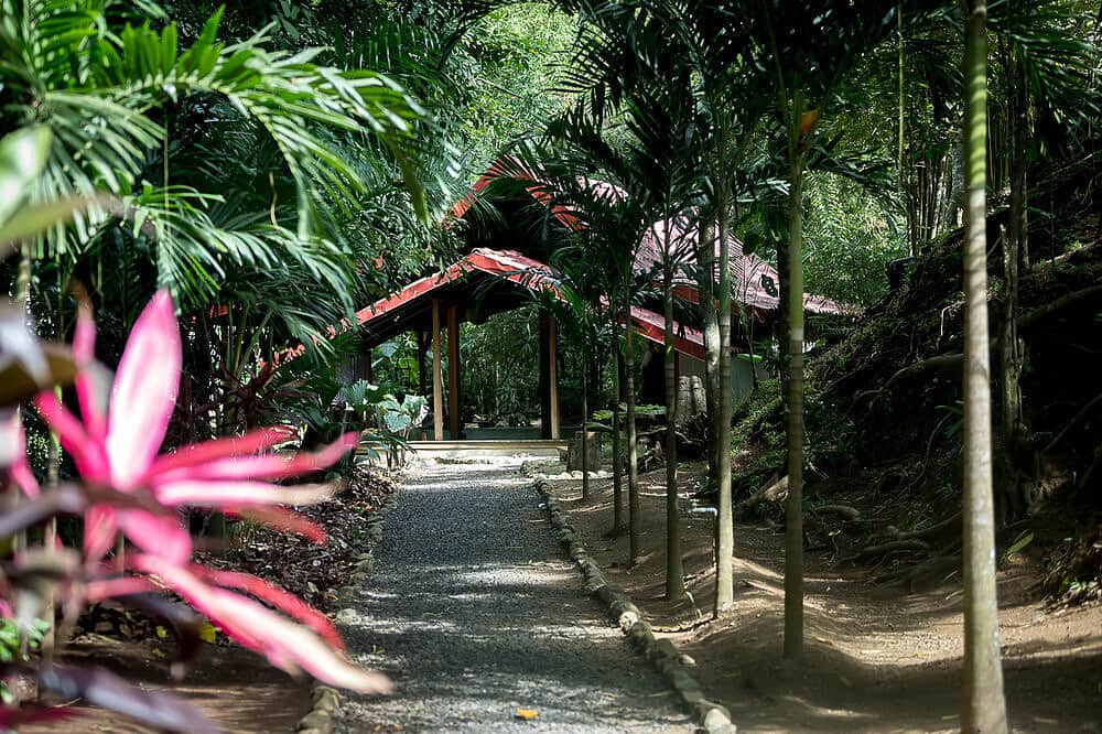 6 Day Self Reset Yoga Retreat in Playa Hermosa, Costa Rica 6