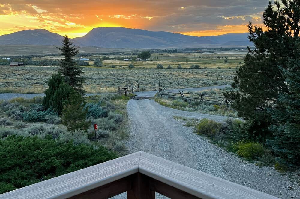 4 Day Bees, Bulbs & Bison: The Yellowstone Ecosystem, WY, US 4