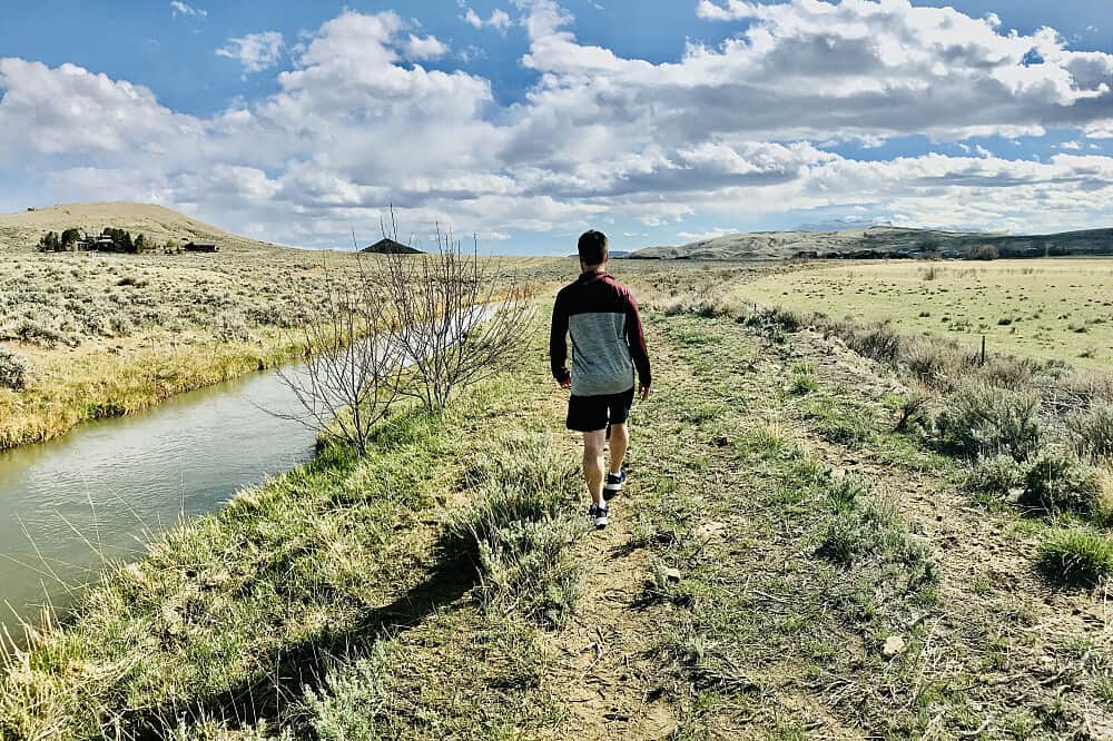 4 Day Bees, Bulbs & Bison: The Yellowstone Ecosystem, WY, US 8