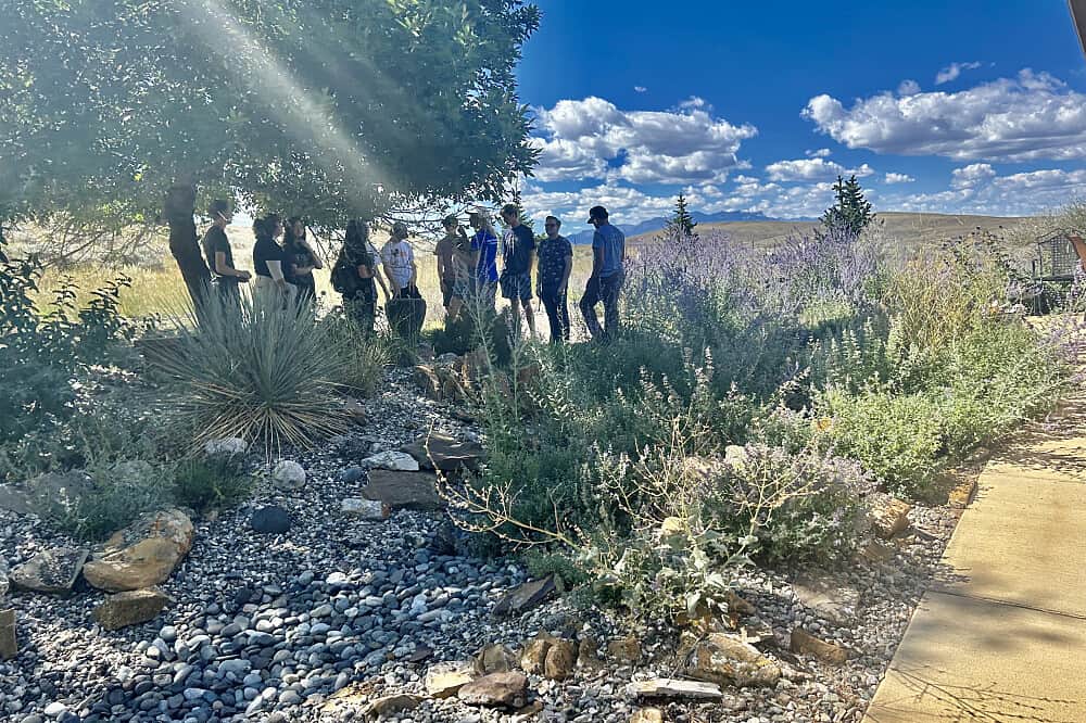 4 Day Bees, Bulbs & Bison: The Yellowstone Ecosystem, WY, US 1
