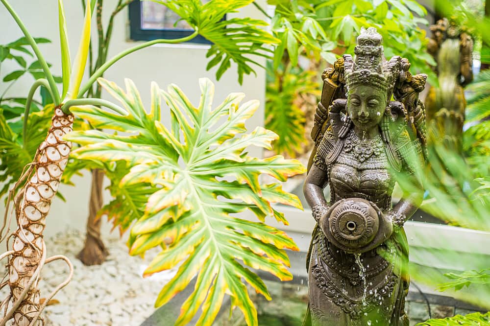 7 Day Re-Enchantment: Rest & Digital Detox, Canary Islands 1