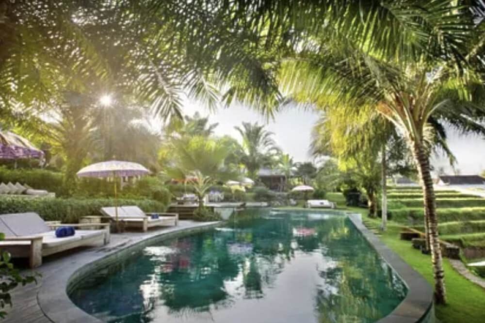 4 Day Purification Journey in Ubud, Bali 8