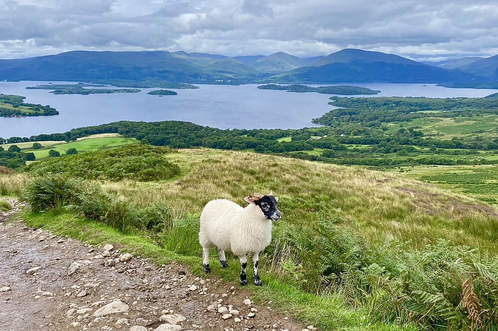 5 Day Yoga Retreat at Loch Lomond in Scotland, UK 2