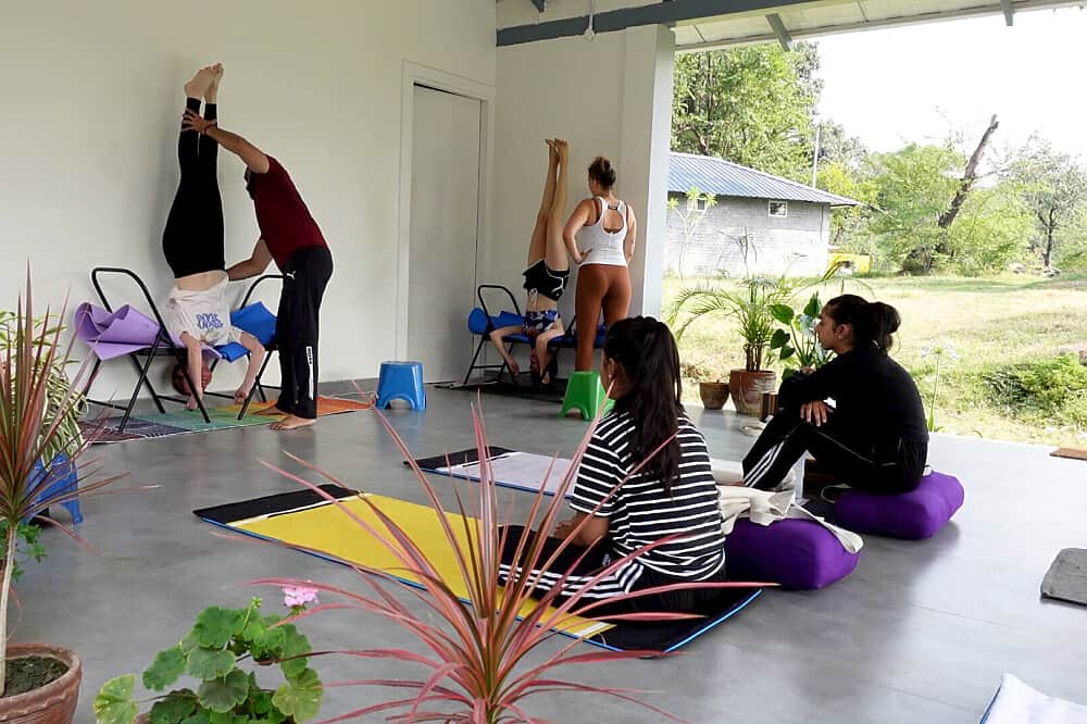 23 Day 200 HR Multistyle Ashtanga & Yin Yoga TTC in Goa, India 7