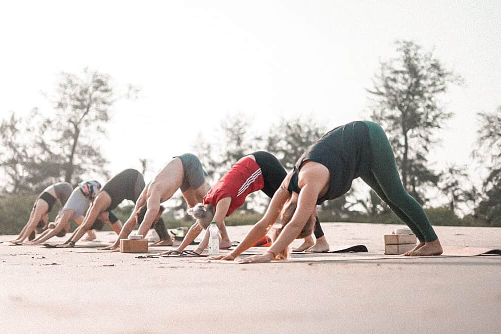 47 Day 500 Hour Complete Yoga Teacher Training in Goa, India 8