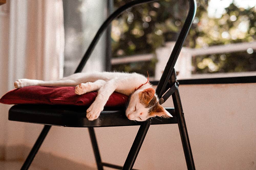 47 Day 500 Hour Complete Yoga Teacher Training in Goa, India 5