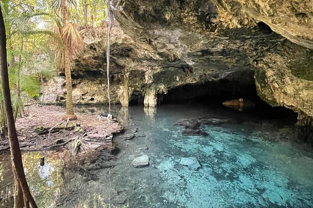 5 Day Mind Reset Yoga & Detox Retreat in Playa del Carmen, Mexico 7