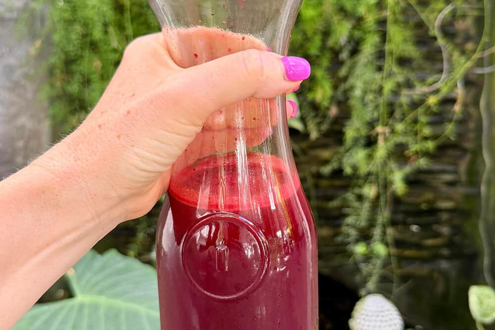 7 Day Juice Fasting Detox & Body Reset Retreat in Mexico 8