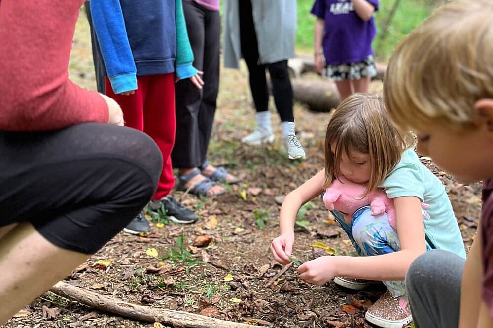 3 Day Family Nature Retreat in Maryville, TN, USA 4