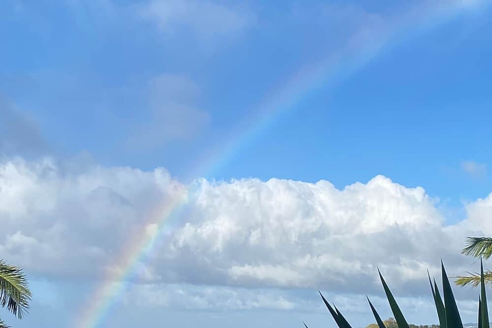 9 Day Shaped by The Flow Retreat for Gay & Queer Men, The Azores 5
