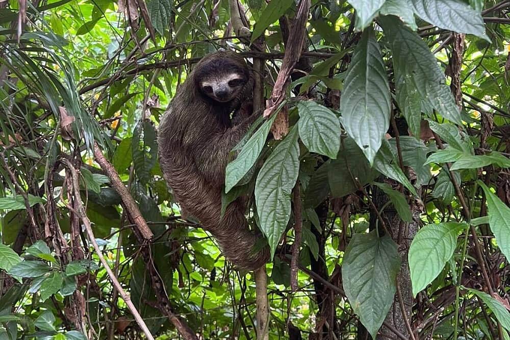 5 Day Ayurveda & Yoga Wild Woman Within Retreat in Costa Rica 7