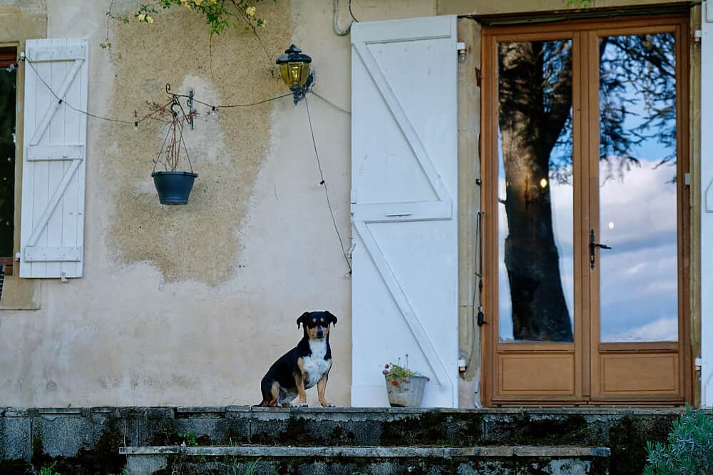 9 Day Personalized Writers Retreat in Montbernard, France 7