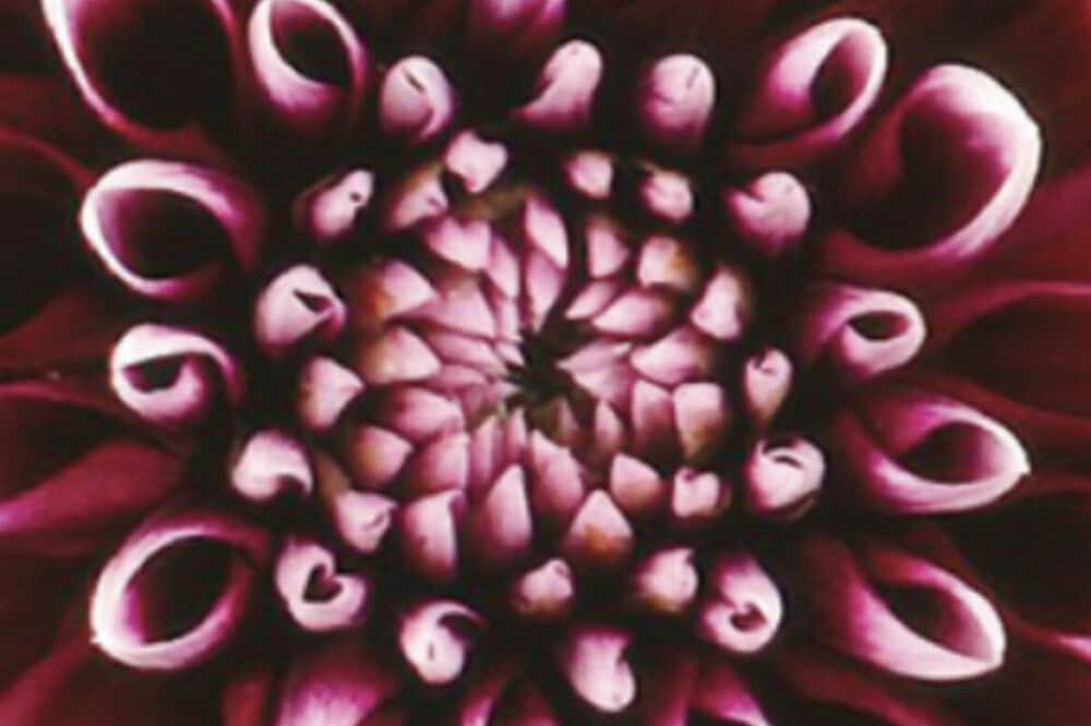 3 Day Silent Meditation Retreat in Sutton, Canada 7