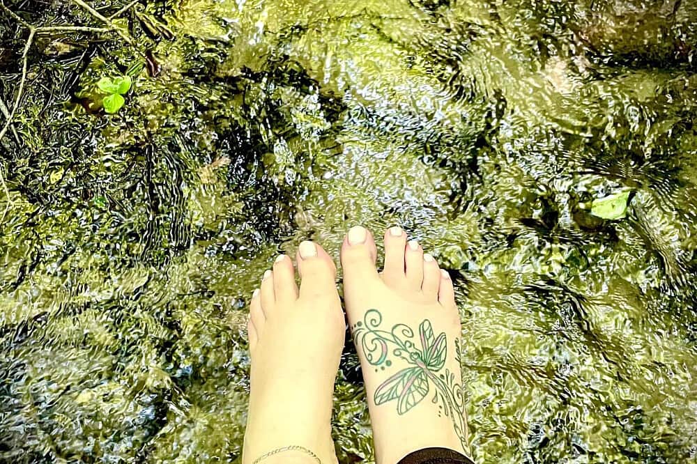 4 Day Wellness Retreat in Hockley Valley, ON, Canada 7