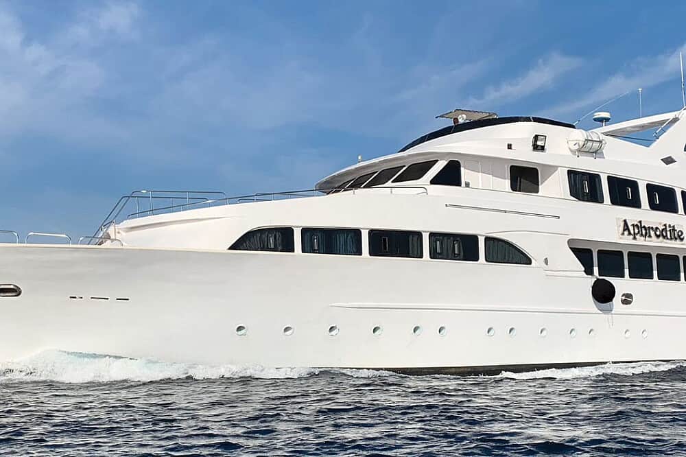 8 Day Sacred Dolphin Journey on a Private Yacht in Egypt 2