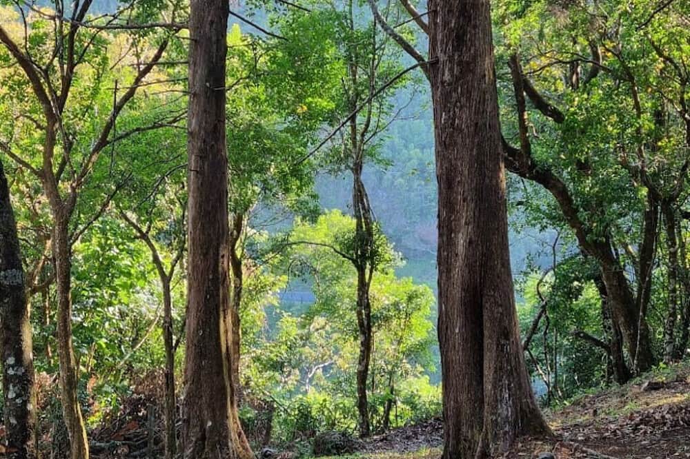 7 Day Couples Retreat for Recovery & Reconnection in Panama 4