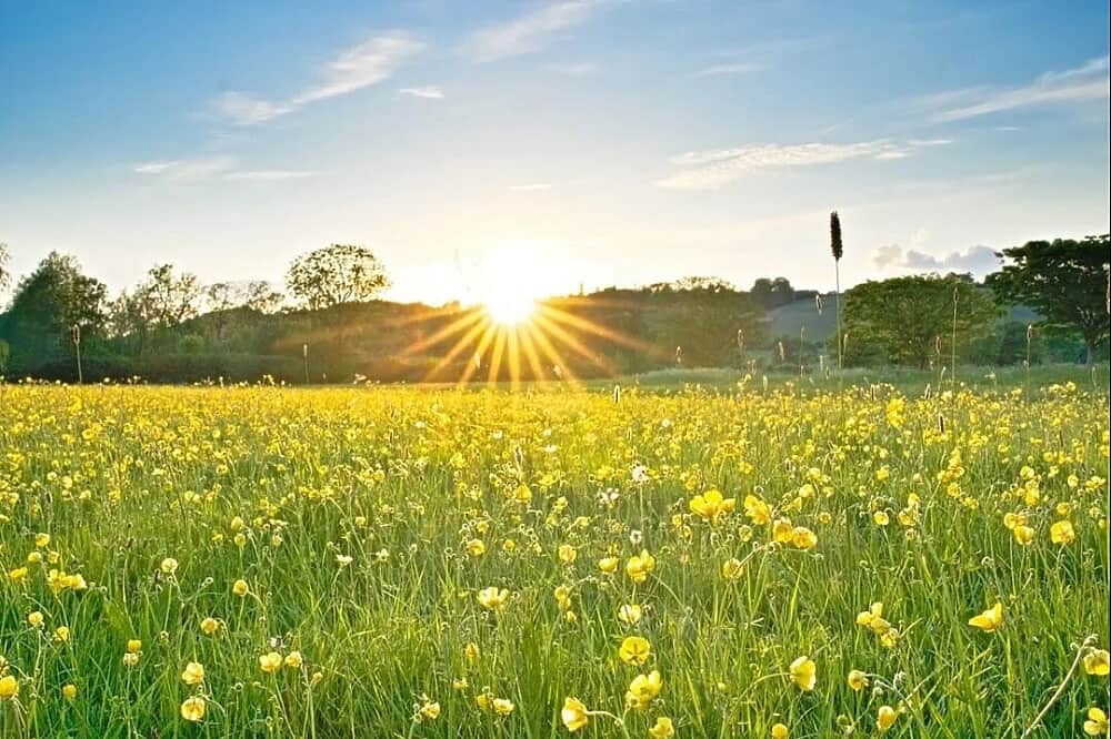 7 Day Insight Vipassana Silent Meditation Retreat, UK 5