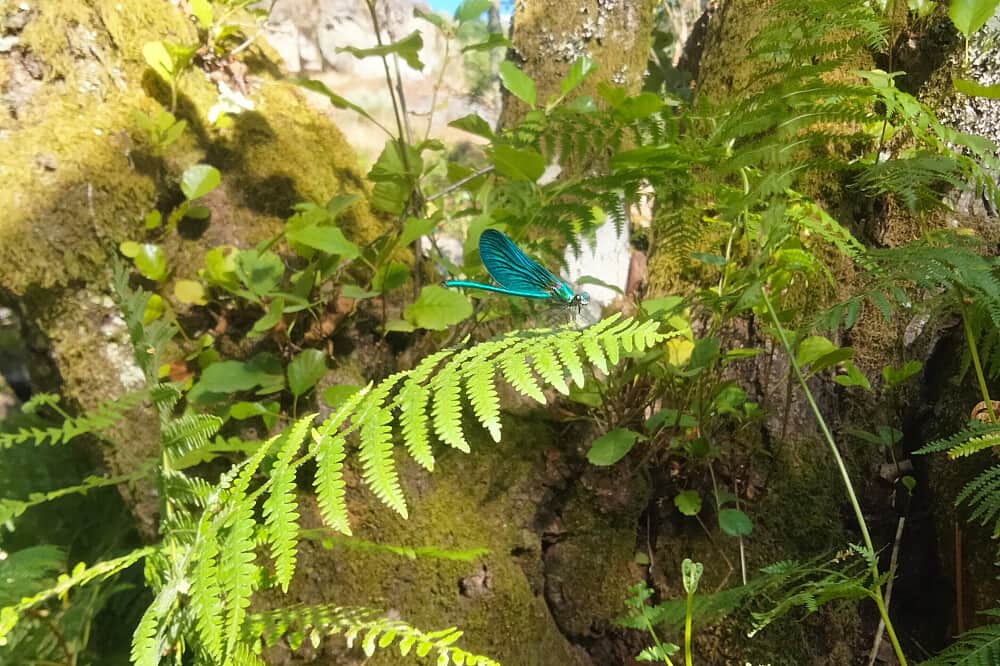 7 Day Soul Expression, Creative Arts Retreat in Portugal 6