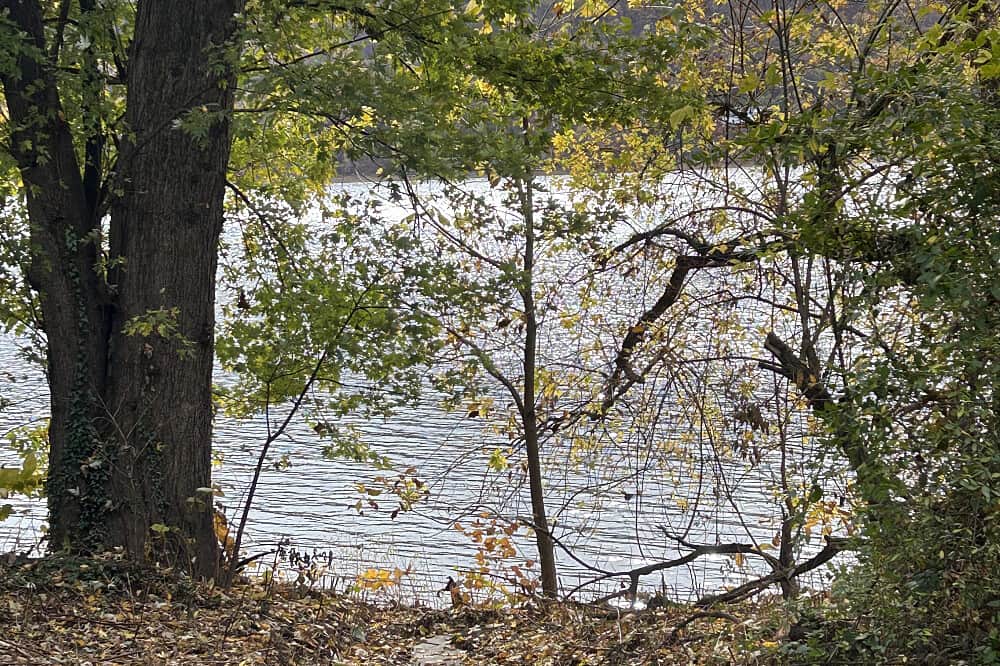 3 Day Rest & Restore Ayurvedic Women's Wellness Retreat, Marietta 1