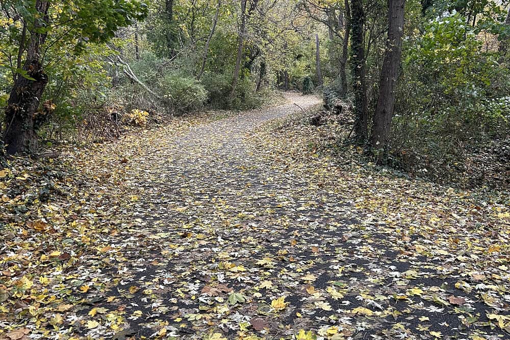 3 Day Rest & Restore Ayurvedic Women's Wellness Retreat, Marietta 4