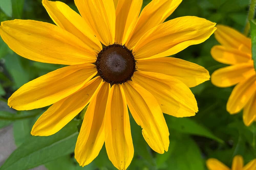 3 Day Rest & Restore Ayurvedic Women's Wellness Retreat, Marietta 2