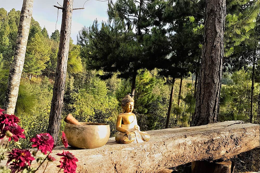 6 Day Darkroom Retreat Experience, Chiapas, Mexico 8