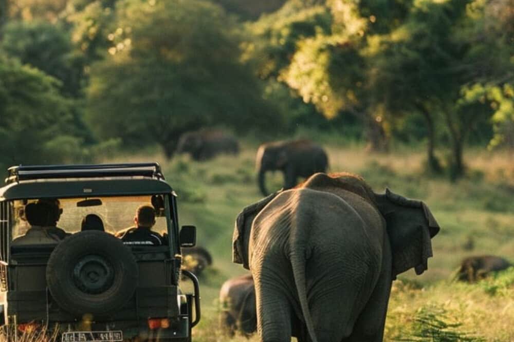 7 Day Women's Ayurveda and Yoga Retreat in Sri Lanka 8