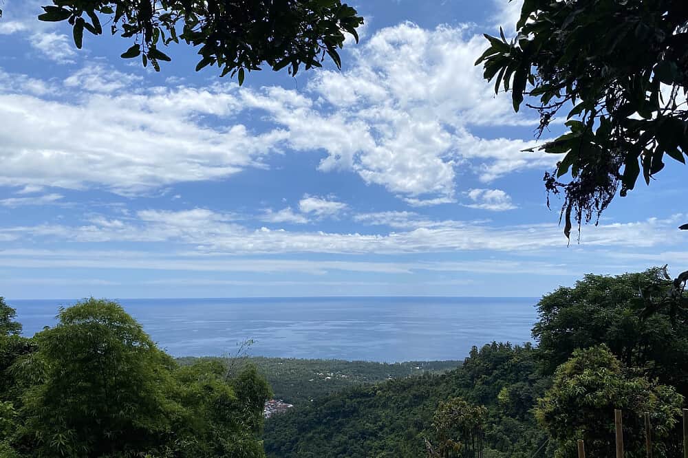 21 Day 200 Hour Yoga Teacher Training in Bali, Indonesia 8