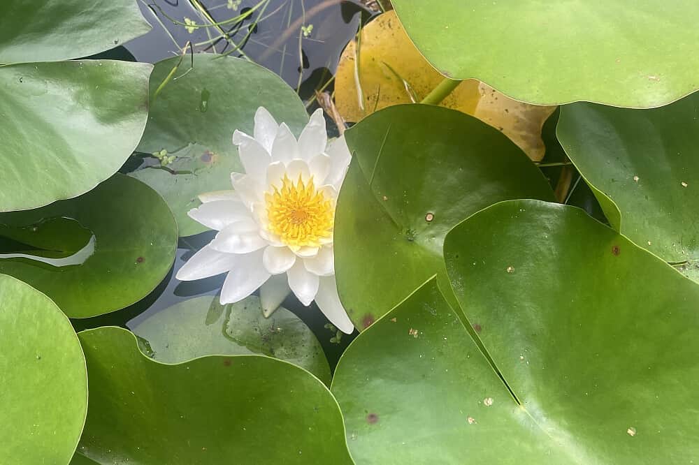 4 Day Darkness Retreat , Dark Retreat, Dunkelretreat with Professional InspirAre Soul Coaching 5