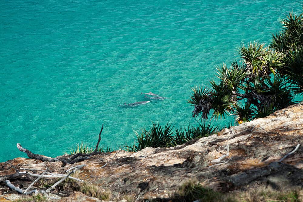 2 Day Island of MU Eco Somatic Healing Retreat in Australia 4