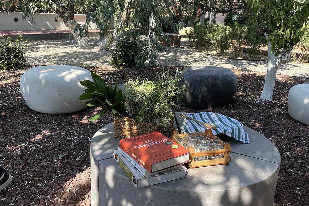 5 Day The Executive Reset All Inclusive in Turkey 6