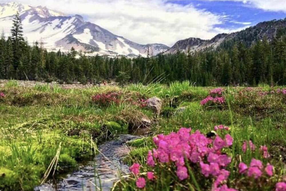 5 Day All-Inclusive Deep Grief Healing Retreat CA, USA 1