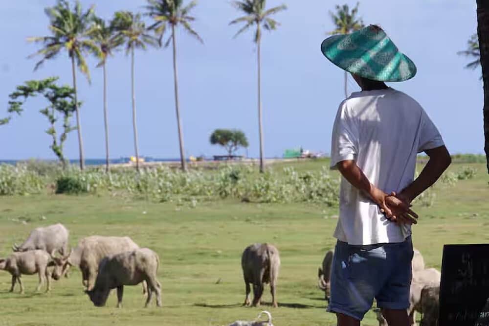 11 Day Abode Natural Therapy Training & Healing YTT, Indonesia 4