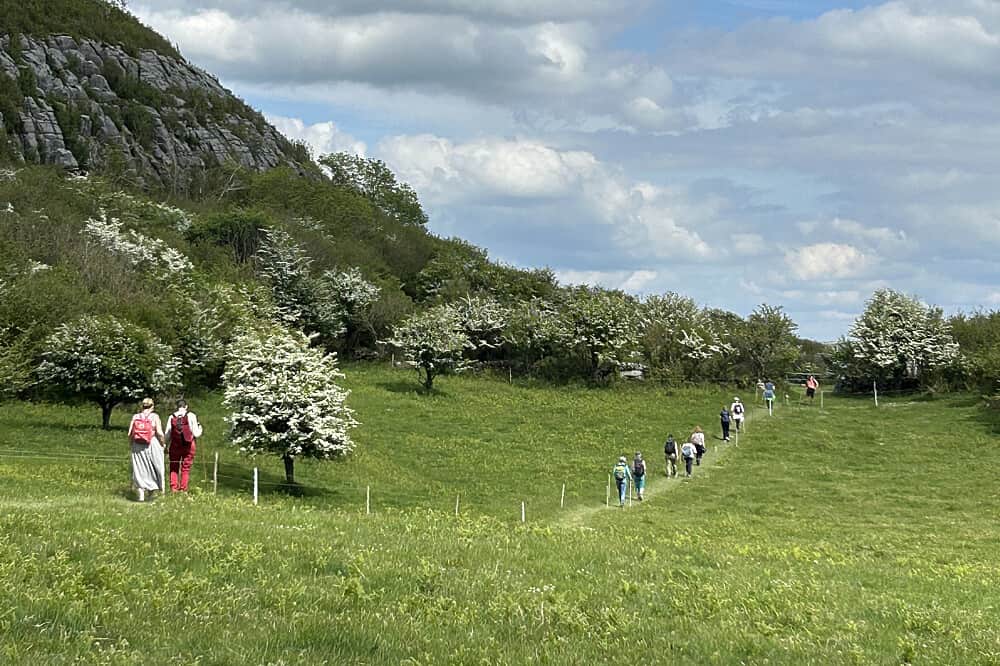 9 Day The Enchanted Island Retreat in Kinvarra, Ireland 8