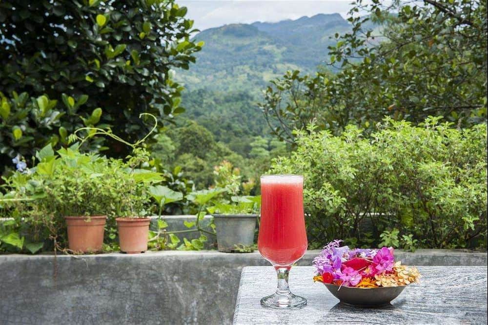 2 Day Yoga Retreat at the Samadhi Centre, Central, Sri Lanka 8