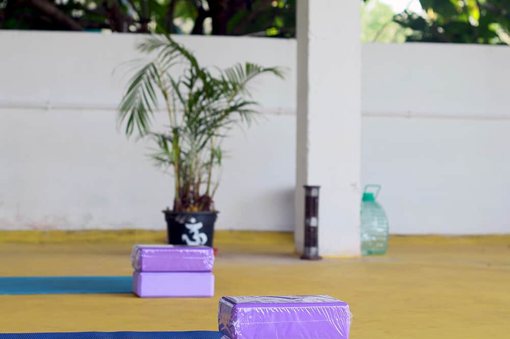 7 Day 50-Hour Aerial Yoga Teacher Training in Goa, India 8