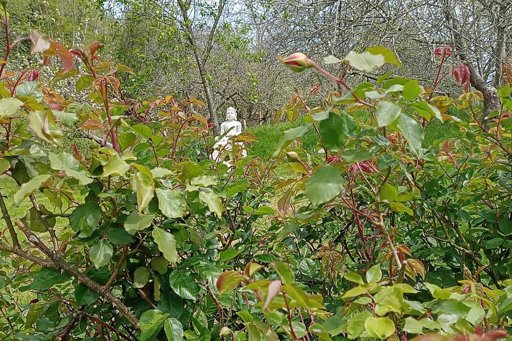 8 Day Discover the Ancient Arts of Qigong and Meditation in Spain 5