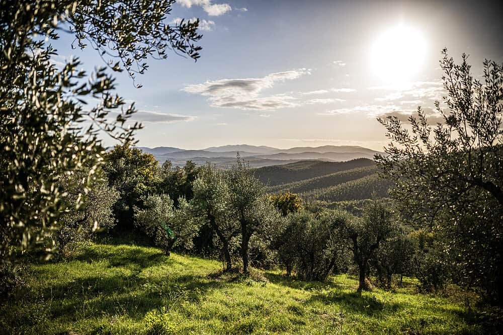 4 Day Food, Wine and Cooking Retreat in Rural Tuscany, Italy 4