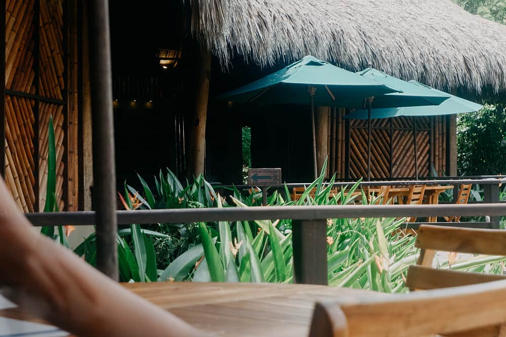 7 Day Mindfulness Meditation & Yoga Retreat, Tayrona, Colombia 6