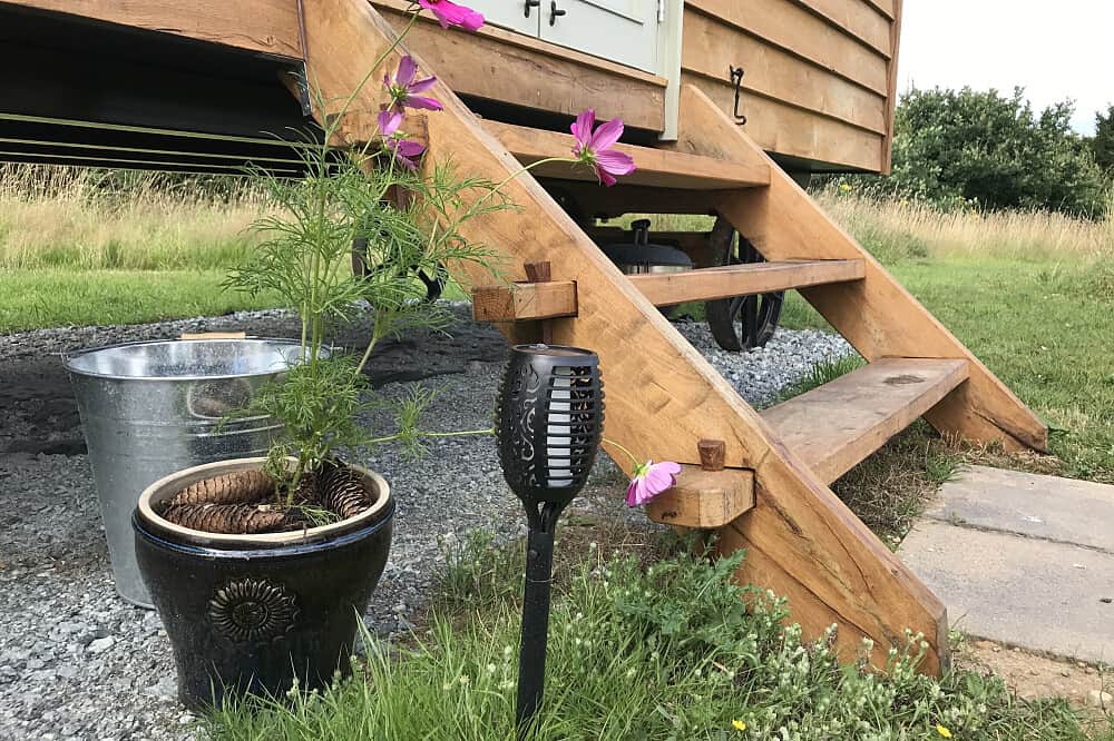 4 Day Equine & Essences Holistic Wellbeing Retreat, Essex, UK 5