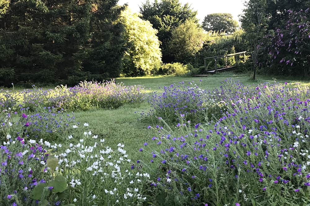 4 Day Equine & Essences Holistic Wellbeing Retreat, Essex, UK 6